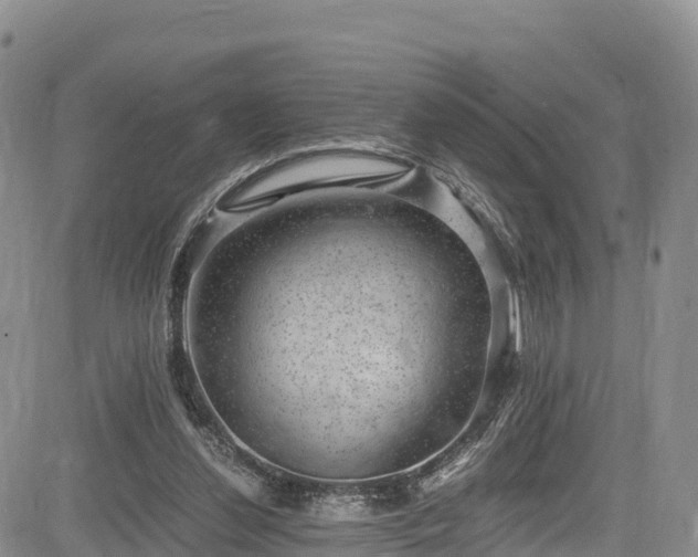 X0000084570252200703021456