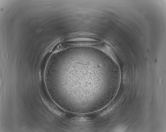 X0000084570254200703021457