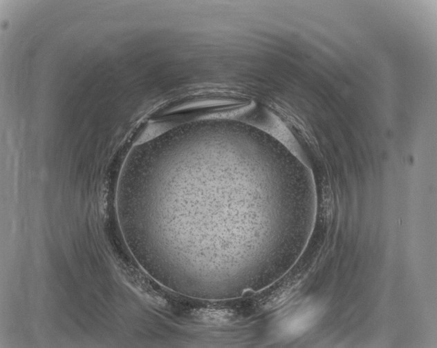 X0000084570255200703021457