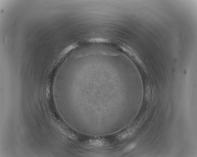 X0000084570259200703021457