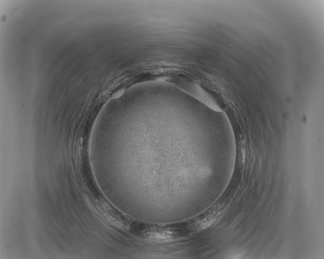 X0000084570263200703021457