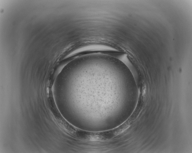 X0000084570264200703021457