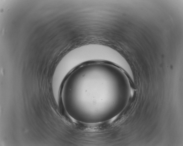 X0000084570280200703021457