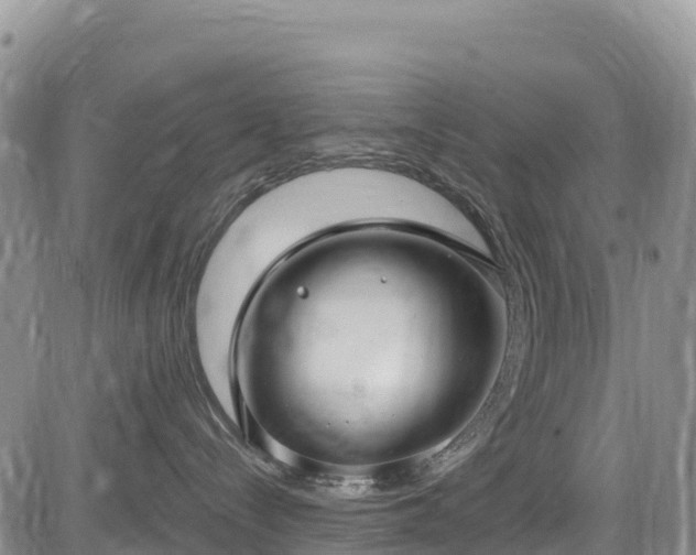X0000084570288200703021457