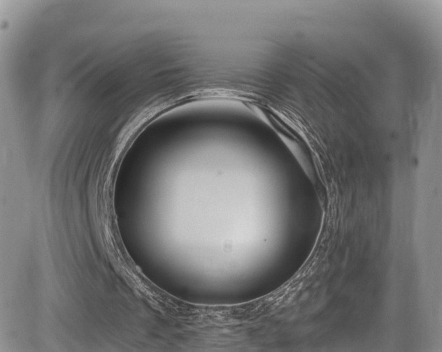 X0000084570289200703021456