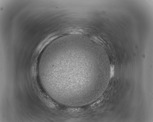 X0000084570291200703021456