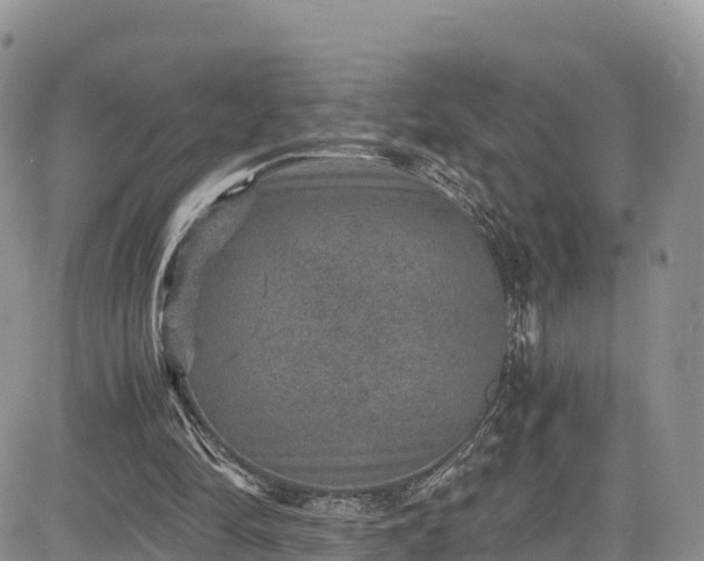 X0000084570294200703021456