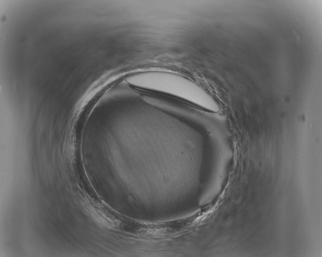 X0000084570295200703021456