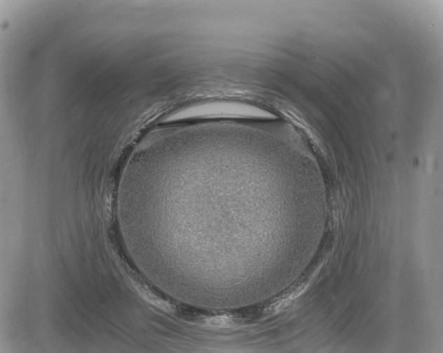 X0000084570309200703021456