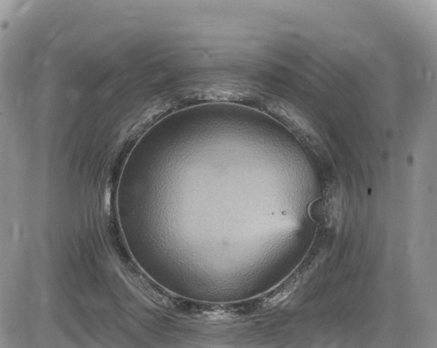 X0000084570310200703021456