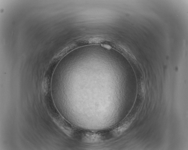 X0000084570311200703021456