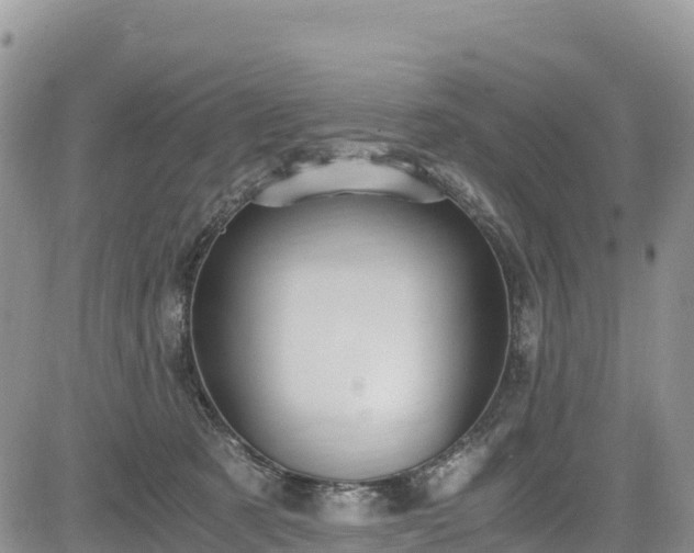 X0000084570321200703021456