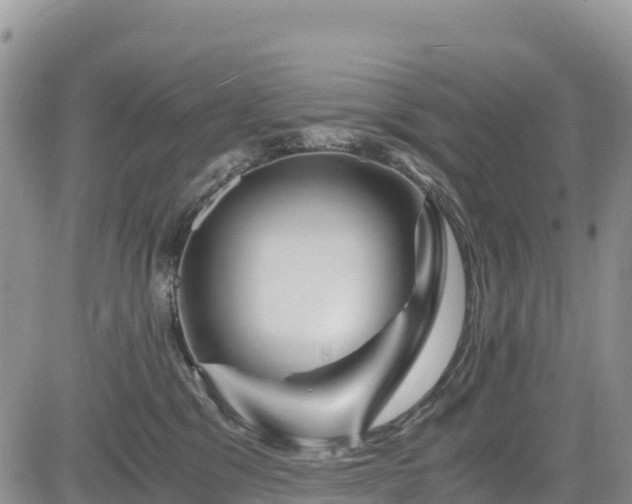 X0000084570329200703021456