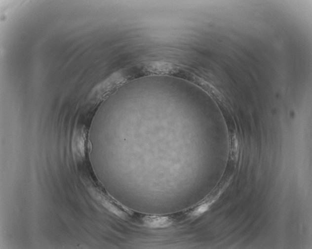 X0000084570334200703021456