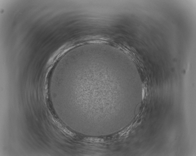 X0000084570339200703021455