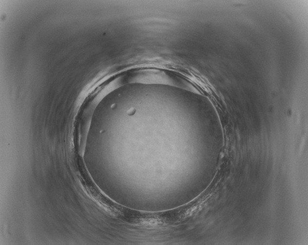 X0000084570344200703021455