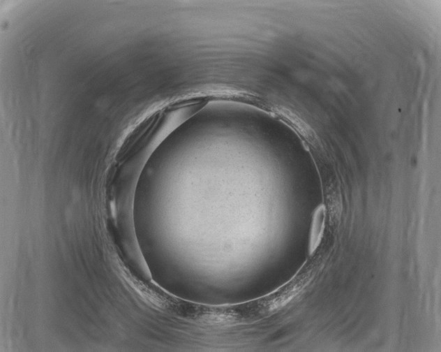 X0000084570350200703021455