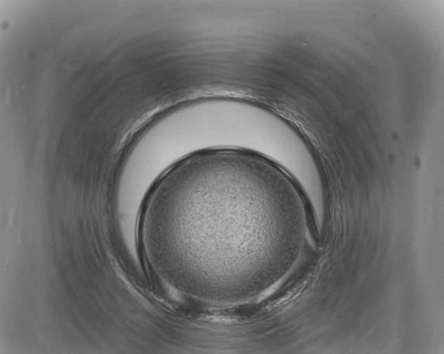 X0000084570352200703021455