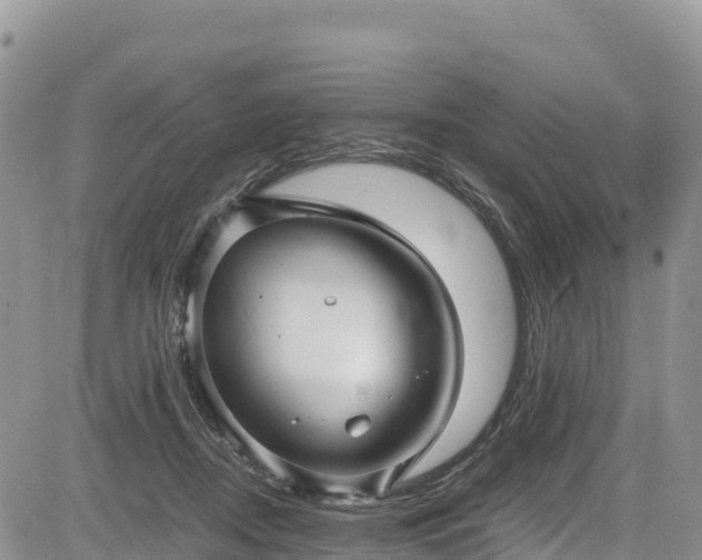 X0000084570362200703021455