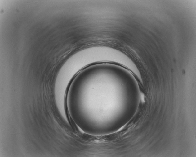 X0000084570364200703021455