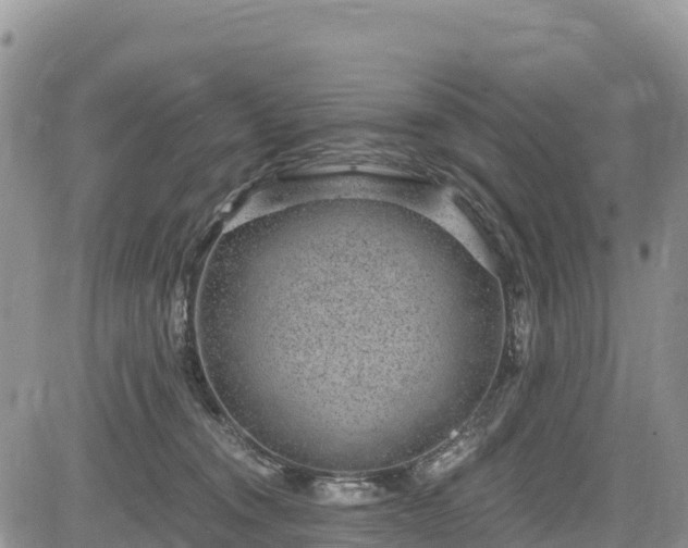 X0000084570372200703021455