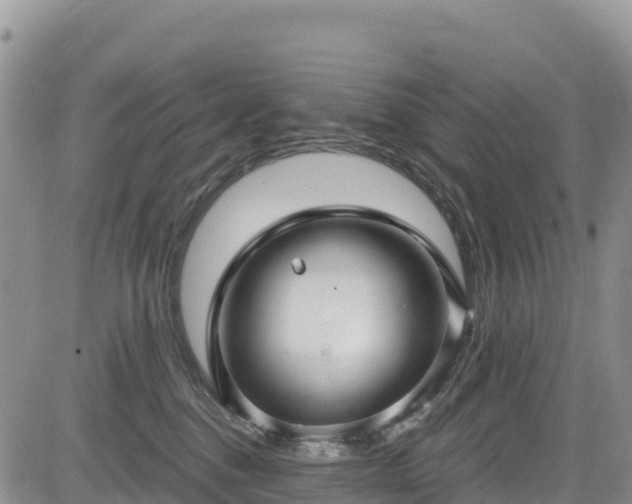 X0000084570376200703021455