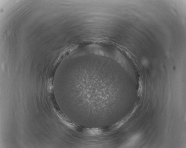 X0000084570383200703021455