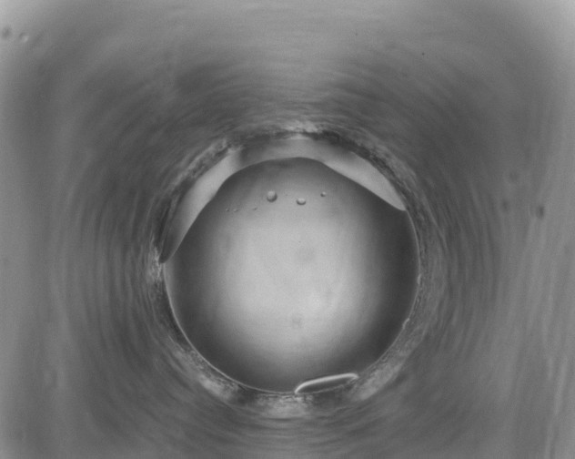 X0000084570384200703021455