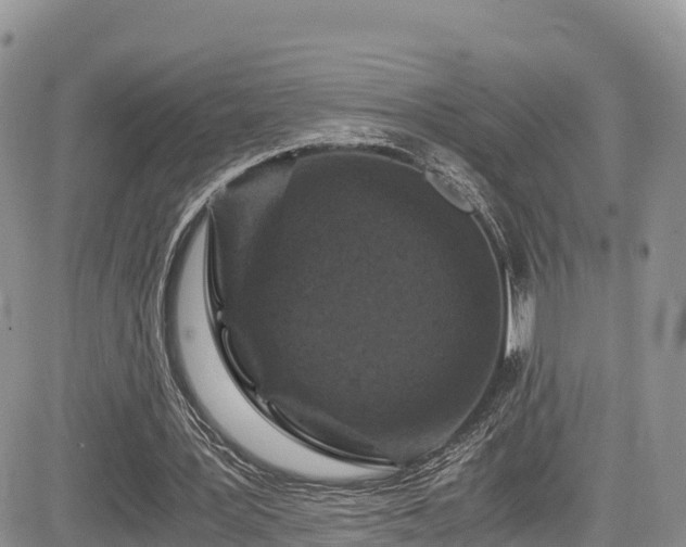 X0000084570387200703021455