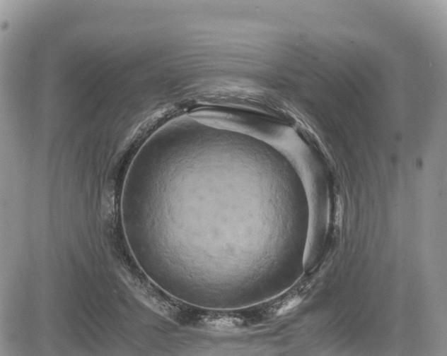 X0000084570407200703021454