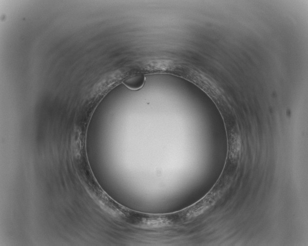 X0000084570414200703021454