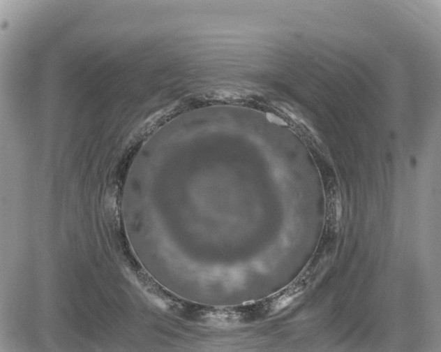 X0000084570415200703021454