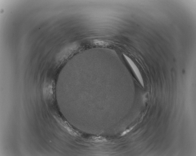 X0000084570424200703021454