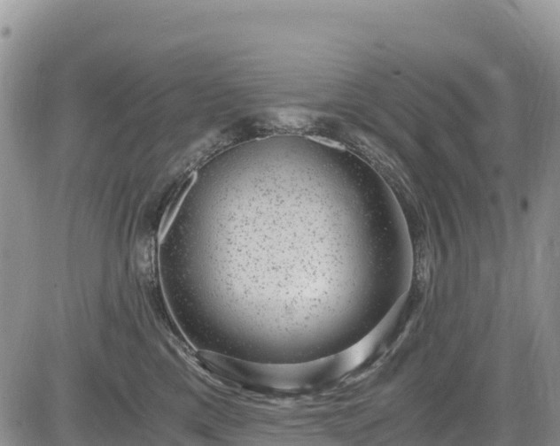 X0000084570425200703021454