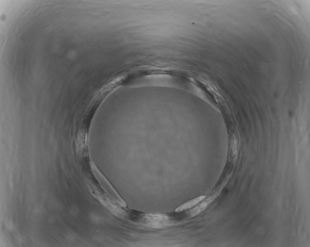 X0000084570429200703021454