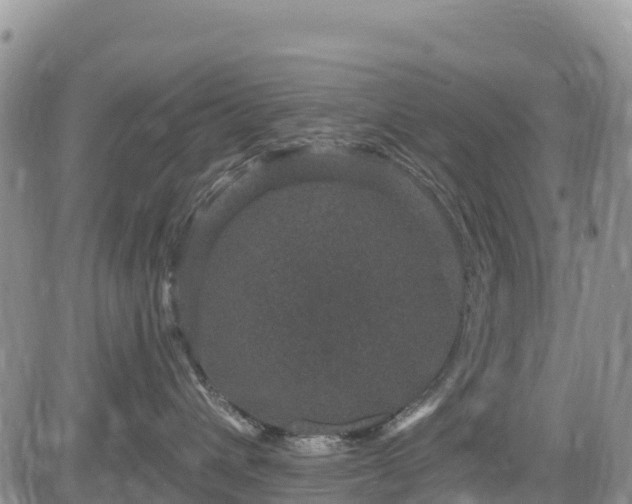 X0000084570432200703021454