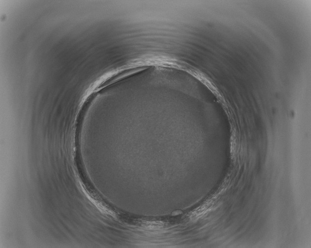 X0000084570438200703021453