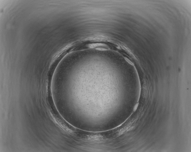 X0000084570446200703021453
