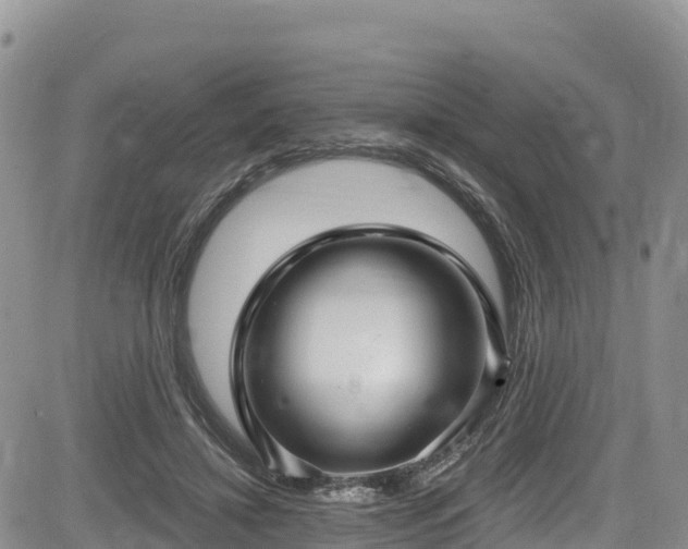 X0000084570452200703021453
