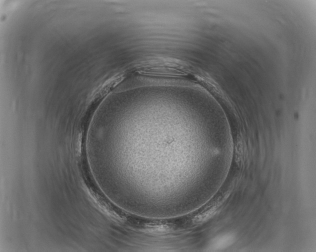X0000084570454200703021453