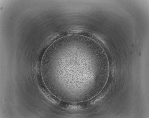 X0000084570455200703021453