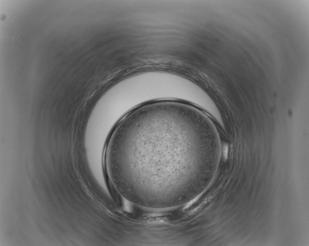 X0000084570456200703021453