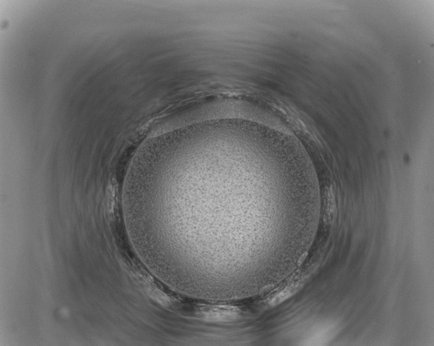 X0000084570463200703021454