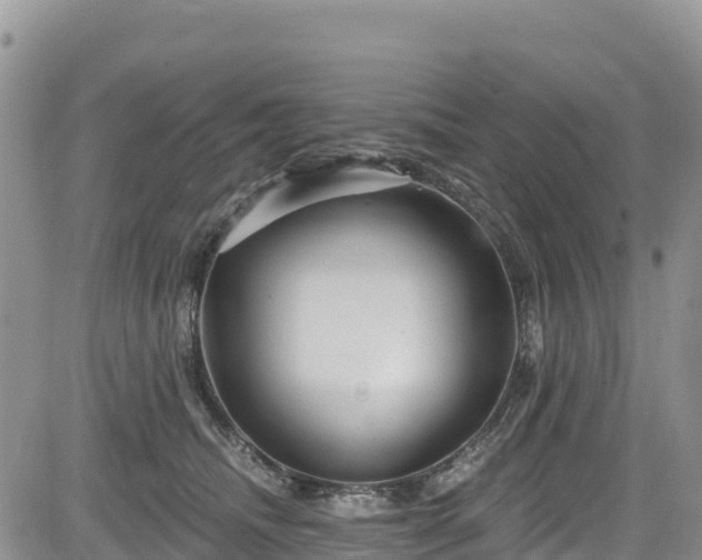 X0000084570468200703021454
