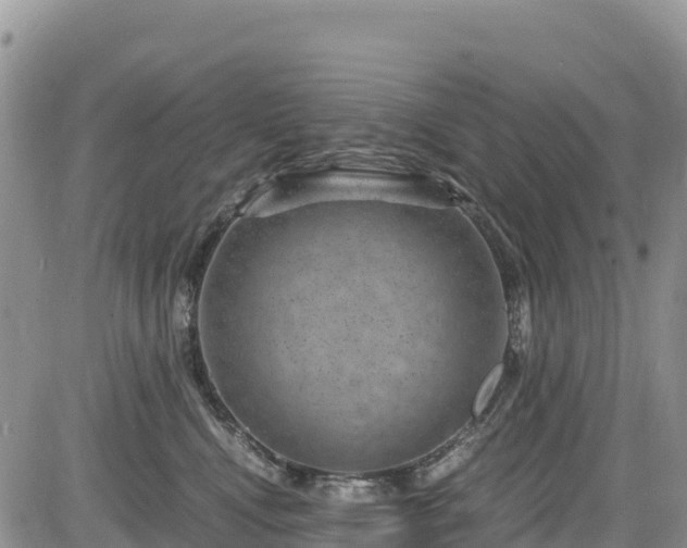 X0000084570472200703021454