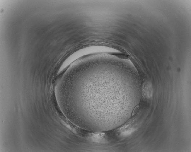 X0000084570474200703021454