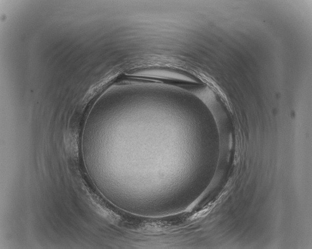 X0000084570489200703021453