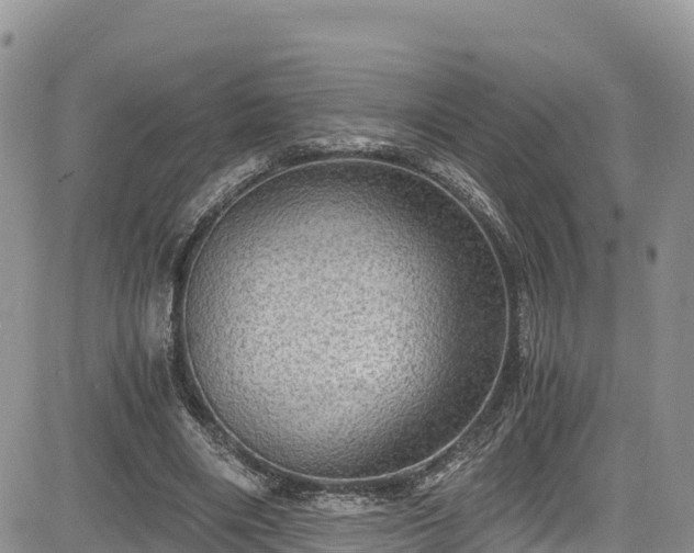 X0000084570490200703021453