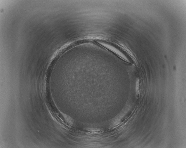 X0000084570492200703021453