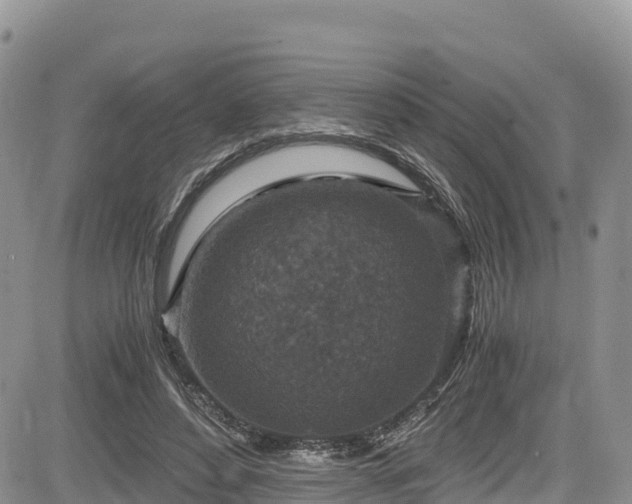 X0000084570496200703021453